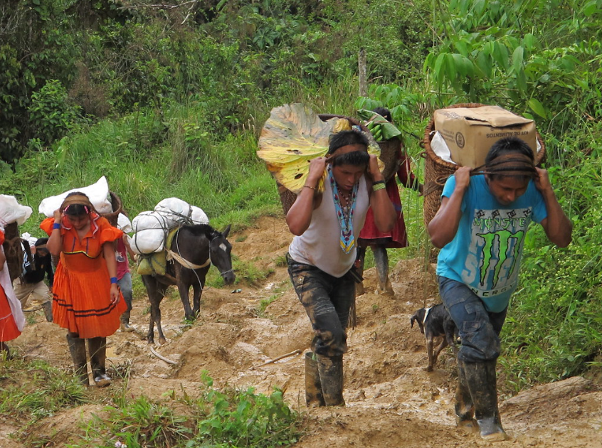 Crisis humanitaria en Catatumbo: más de 36.000 desplazados por enfrentamientos entre grupos&nbsp;armados