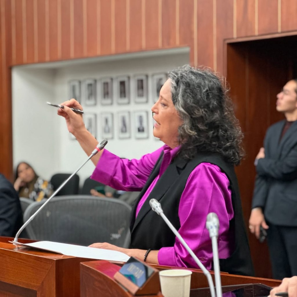 Angélica Lozano advierte de incompatibilidad entre dos estados de excepción por la crisis en El&nbsp;Catatumbo