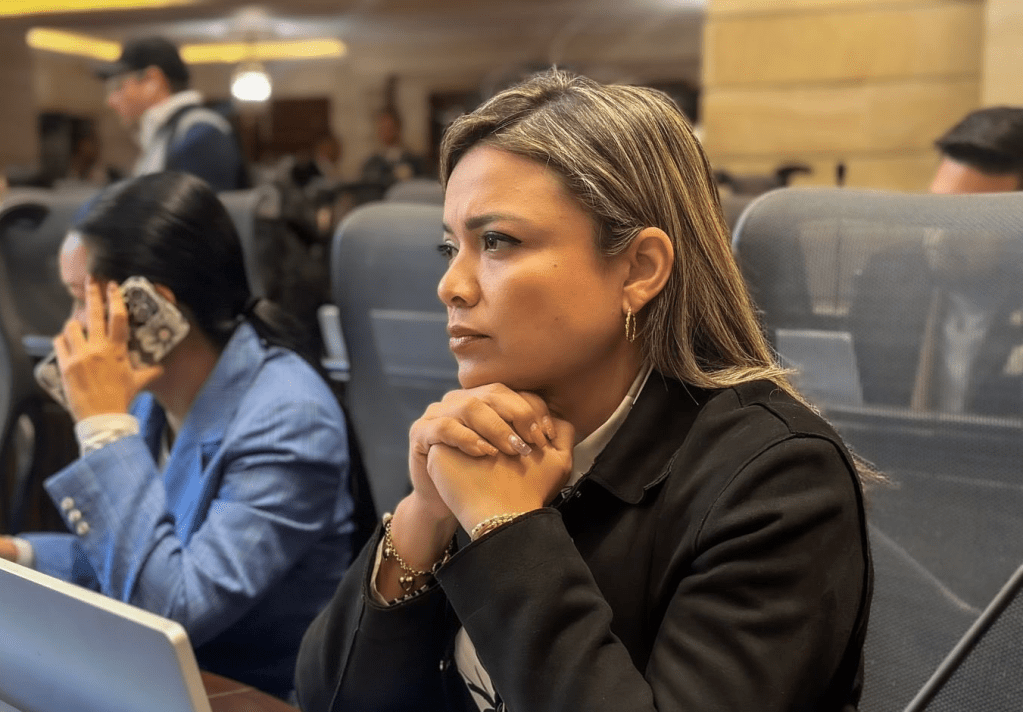 Vicepresidenta de la Cámara alerta nuevo vicio en la reforma pensional por fallo sin firmas de la&nbsp;Corte