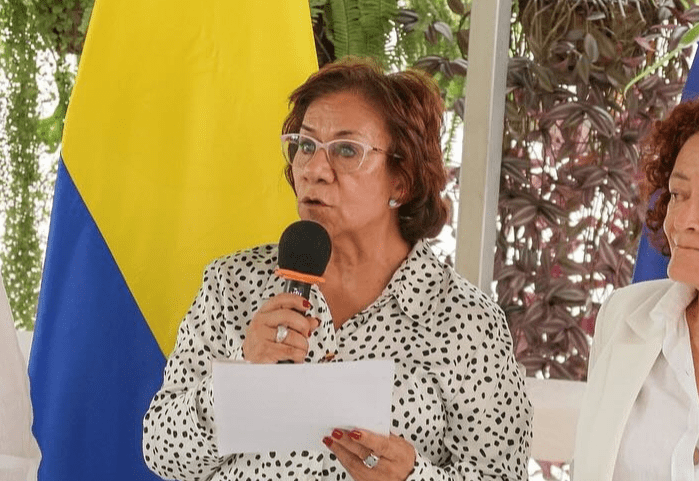 Canciller Rosa Villavicencio deberá responder por crisis de&nbsp;pasaportes
