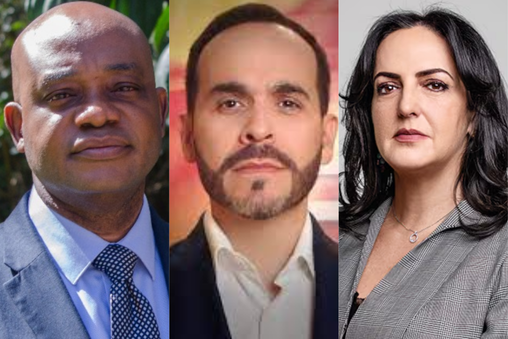 La pantera, el tigre y la leona